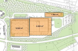 Gewerbeimmobilie mieten in 78647 Trossingen, 20.000 m² Produktions und Lagerflächen mit vielen Rampen, zur Miete!