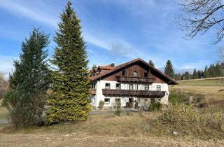 Mehrfamilienhaus kaufen in Frauenberg, 94145 Haidmühle, Mehrfamilienhaus mit 4 Appartements in ruhiger Lage mit Grünfläche