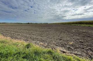 Gewerbeimmobilie kaufen in 48249 Dülmen, Landwirtschaftliche Fläche in Dülmen