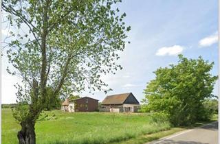 Einfamilienhaus kaufen in 23974 Neuburg, Neuburg - Einfamilienhaus mit großem Grundstück und viel Nebengelass