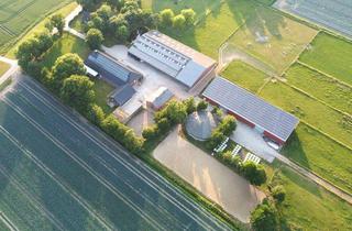 Haus kaufen in 25709 Marnerdeich, Träume verwirklichen - Charmanter, stilvoller Pferdehof in ländlicher Lage!