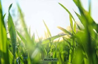 Grundstück zu kaufen in Im Hinteren Mittelscheid, 35075 Gladenbach, 21 Landwirtschaftsflächen