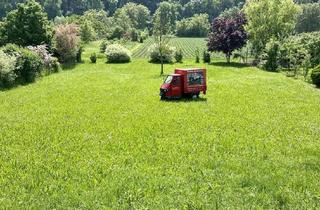 Grundstück zu kaufen in 74394 Hessigheim, Grundstück mit viel Natur drumherum