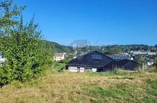 Grundstück zu kaufen in 54614 Schönecken, Schönecken - BAUEN MIT BURGBLICK