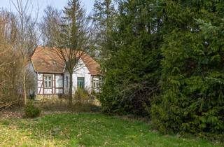 Bauernhaus kaufen in Möllenbecker Weg, 19300 Balow, Forsthaus sucht Liebhaber