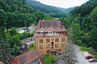 Wohnung mieten in Sebnitztalstraße, 01848 Hohnstein, Kohlmühle große Wohnung zu Vermieten