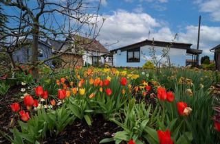 Haus kaufen in 67273 Dackenheim, Dackenheim - Gepflegtes Einfamilienwohlfühlhaus in Dackenheim