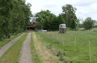 Haus kaufen in 21756 Osten, Osten - 21756 Osten Hemmoor: Resthof mit Pferdeboxen auf 2 ha Grundstück