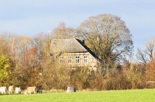 Haus kaufen in 17179 Boddin, Boddin / Klein Lunow - denkmalgeschütztes Gutshaus auf weitläufigem Grundstück im Landkreis Rostock