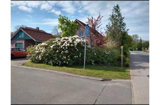 Einfamilienhaus kaufen in 26937 Stadland, Stadland - Einfamilienhaus in Seefeld