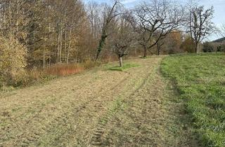 Grundstück zu kaufen in 76316 Malsch, Landwirtschaftliche Fläche, Streuobstwiese in Waldrandlage