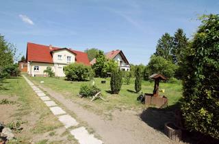 Einfamilienhaus kaufen in 16356 Werneuchen, Werneuchen - Einfamilienhaus mit 4 Zimmern auf großem Grundstück im Grünen