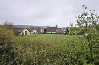 Haus kaufen in 91617 Oberdachstetten, Oberdachstetten - Hofstelle mit Dreifach-Garage und Scheunen