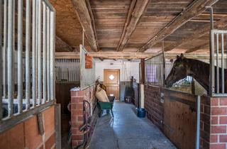 Haus kaufen in 32361 Preußisch Oldendorf, Preußisch Oldendorf - Schöne Lage am Rande eines Naturschutzgebietes - Wohnhaus mit Pferdeställen, Reitplatz und Weideflächen