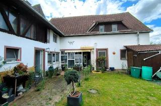 Haus kaufen in 64584 Biebesheim, Biebesheim am Rhein - Hinterliegerbebauung Ex Scheune mit Garten und Carport