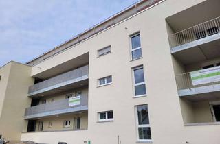 Wohnung mieten in Beethovenstr., 72336 Balingen, 1,5 Zimmer Wohnung mit großem Balkon