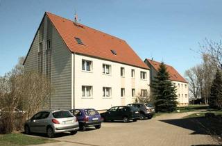 Wohnung mieten in Am Sportplatz 28, 18320 Ahrenshagen-Daskow, ruhige 1-Zimmer-Wohnung in Daskow