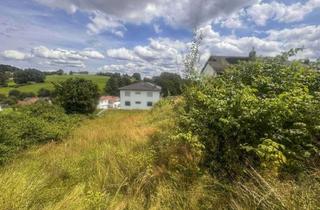 Grundstück zu kaufen in 94209 Regen, Idyllisch mit Fernsicht: Voll erschlossenes Grundstück mit Baugenehmigung in Regen