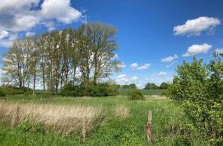 Grundstück zu kaufen in 19246 Zarrentin, Traumhaft ruhiges Wohnen am Schaalsee