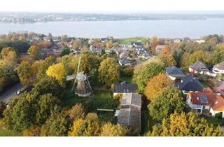 Haus kaufen in 24857 Fahrdorf, Besonderes und vielseitig nutzbares Mühlenanwesen mit Blick auf die Schlei