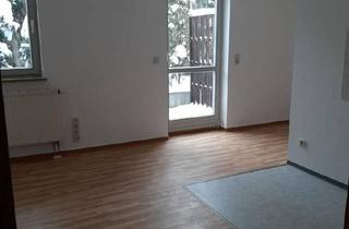 Wohnung mieten in 08491 Netzschkau, Schöne kleine Single-Wohnung mit Terrasse in ruhiger Wohnlage