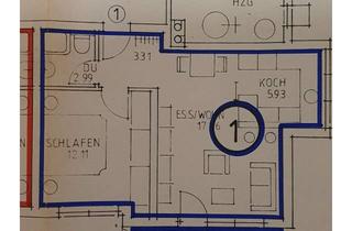 Wohnung mieten in 78476 Allensbach, Vollständig renovierte 2 Zimmer Wohnung mit großer Terrasse und EBK in toller Lage