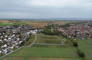 Grundstück zu kaufen in 64850 Schaafheim, Bauträgerfläche in Schaafheim-Mosbach