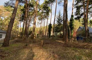 Grundstück zu kaufen in Am Finkenhain 42, 14822 Borkheide, Ihr neues Zuhause im Grünen - großes Baugrundstück inkl. Bauvorbescheid