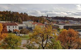 Wohnung mieten in Brunnenbergstraße, 72488 Sigmaringen, Modernisierte DG-Wohnung mit einem Zimmer und Einbauküche in Sigmaringen