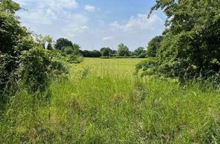 Grundstück zu kaufen in 23738 Riepsdorf, Grundstück mit Weitblick in die Natur! Erfrischend nah an der Ostsee!