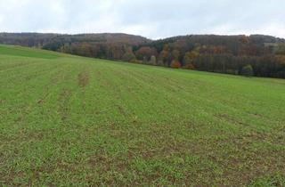 Gewerbeimmobilie kaufen in 51545 Waldbröl, Rarität Ackerland im Oberbergischen Kreis - 0,63 ha Acker im südöstlichen Teil von Waldbröl