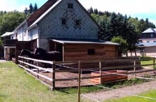 Bauernhaus kaufen in 01778 Geising, Altenberg - Bauernhaus mit Scheune und Offenstall, Pferdehaltung möglich