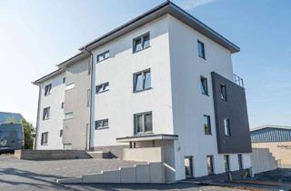 Wohnung mieten in 57610 Altenkirchen, Schöne 2 Zimmerwohnung in Altenkirchen