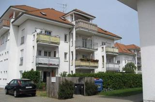 Wohnung mieten in Albert-Schweitzer-Str. 15A/E, 14929 Treuenbrietzen, Sonnige 3 ZKB-Wohnung mit Terrasse zum Wohlfühlen