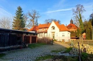 Haus kaufen in 19260 Dersenow, "Denkmal sucht Liebhaber"Kauf mit Ackerflächen und großem Speichergebäude möglich