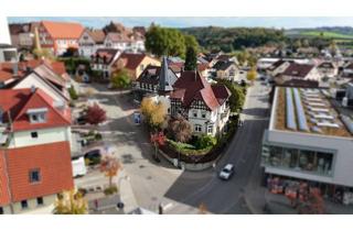 Villa kaufen in 78333 Stockach, Die letzte Jugendstilvilla im Herzen von Stockach