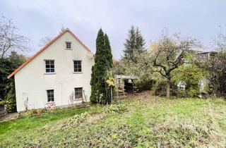 Einfamilienhaus kaufen in 39356 Hödingen, Klein, aber fein! Gemütliches Einfamilienhaus mit großem Grundstück in ruhiger Lage