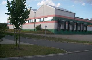 Gewerbeimmobilie kaufen in An Den Trillers Büschen, 07646 Mörsdorf, Produktionshalle / Lagerhalle mit Krananlagen + Büro (ca. 5.700 m²) am Hermsdorfer Kreuz (A4/A9)