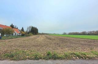 Gewerbeimmobilie kaufen in Rebhuhnweg, 85716 Unterschleißheim, Landwirtschaftliches Grundstück in Unterschleißheim, Ortsteil Riedmoos