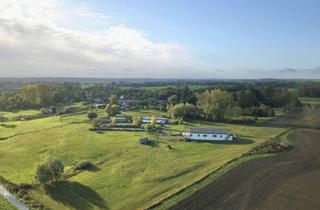 Gewerbeimmobilie kaufen in 17219 Ankershagen, HORN IMMOBILIEN+ Rumpshagen bei Penzlin, Alpakafarm mit Wohnhaus, Stall, Tierbestand + 9 ha Land