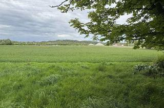 Gewerbeimmobilie kaufen in 84034 Münchnerau, Landwirtschaftliche Flächen in Landshut/Münchnerau