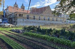 Wohnung mieten in Im Kloster 4, 61194 Niddatal, Zweizimmer-Wohnung in gemeinschaftlichem Wohnprojekt "In den Klostergärten" in Ilbenstadt