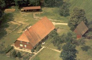 Immobilie kaufen in 31603 Diepenau, Historischer Niedersachsen- Bauernhof in Fachwerk mit Pferdeboxen u. tollen Eichenbaumbestand