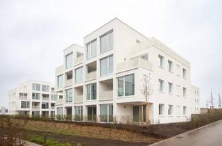 Wohnung mieten in 74653 Künzelsau, Modern & komfortabel Wohnen im Haselcarré: 2-Zi.-Whg., EBK, TG & Loggia - Erstbezug ab Dezember 2024