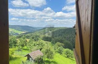 Bauernhaus kaufen in 77978 Schuttertal, Schuttertal - UNVERBAUBARE LAGE, VIELFÄLTIGE NUTZUNG