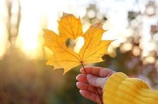 Haus kaufen in 55595 Argenschwang, Den GOLDENEN HERBST im eigenen Garten erleben....kann es schon bald heißen im EFH inkl. Grundstück