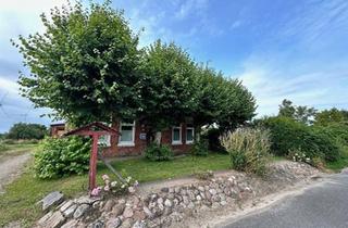 Einfamilienhaus kaufen in 25767 Albersdorf, Albersdorf - Neu: Handwerkerhaus mit ca. 6ha Weideland