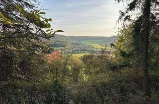 Haus kaufen in 07751 Jenaprießnitz, Jenaprießnitz - Zurück zur Natur -Ferienhaus mitten im Wald