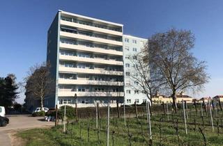 Wohnung mieten in 67433 Neustadt, 4 Zimmerwohnung mit Balkon