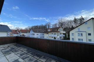 Wohnung mieten in 75175 Südoststadt, Schöne 2-Zimmerwohnung mit Dachterrasse